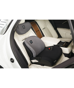 Автокресло Martin noir Elves+ Gray stage (бустер со спинкой и подголовником, с Isofix) 